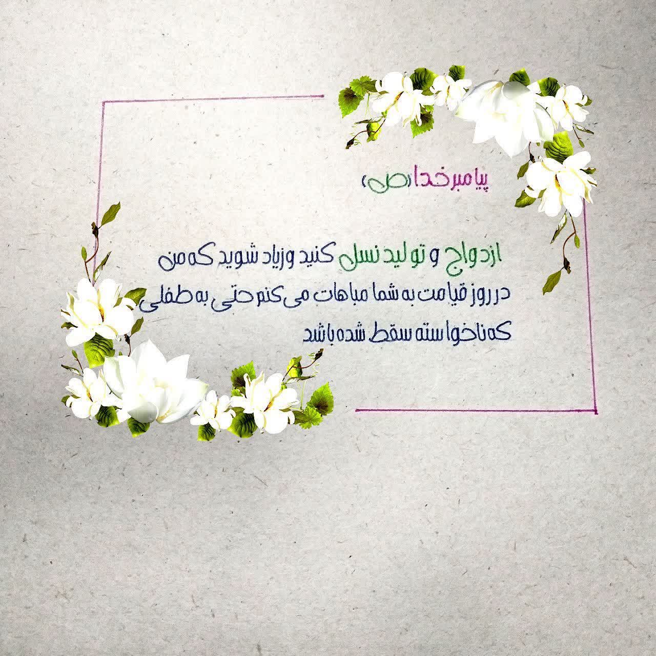 نیپبویم